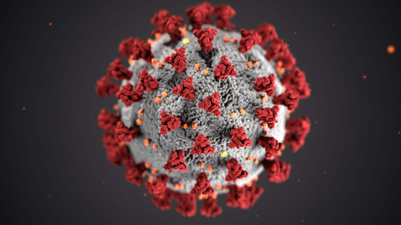 Enlarged view: SARS-CoV-2 ( CC0 1.0 / CDC by Unsplash )