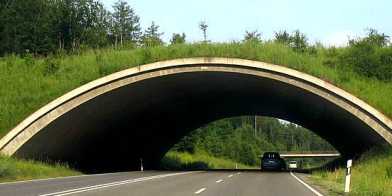 Grünbrücke