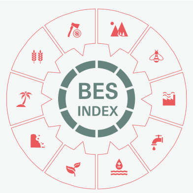 BES Index